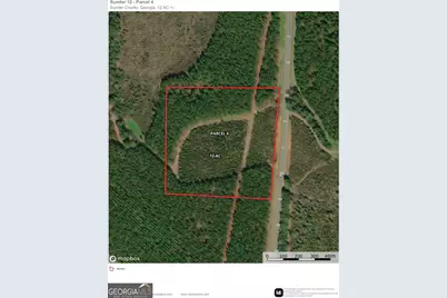 004 Hwy 45, White Plains, GA 31870 - Photo 8