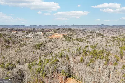 1034 Ainu Court, Dahlonega, GA 30533 - Photo 32