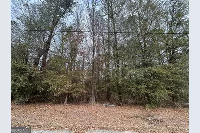 W Williams St, Montezuma, GA 31063 - Photo 2