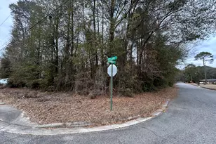 W Williams St, Montezuma, GA 31063 - Photo 1