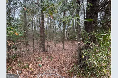 W Williams St, Montezuma, GA 31063 - Photo 4