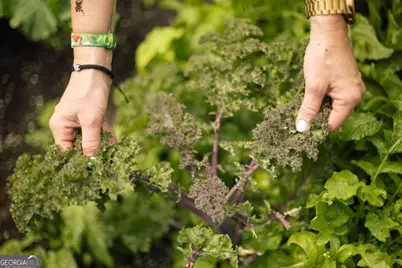 1570 Club Drive, Greensboro, GA 30642 - Photo 68