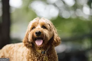 1570 Club Dr, Greensboro, GA 30642 - Photo 64