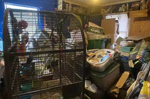 911 S 341 Hwy, Chickamauga, GA 30707 - Photo 12