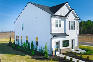 169 Lauritsen Way, Newnan, GA 30265 - Photo 10