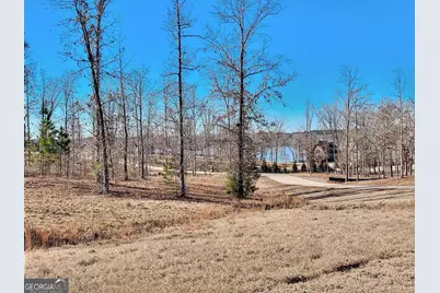 0 Open Water Drive #LOT 61, Greensboro, GA 30642 - Photo 4