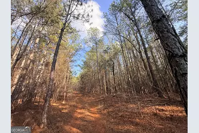 12 Cedar Creek Extension, Elberton, GA 30635 - Photo 68