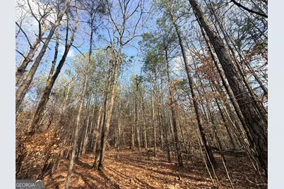 12 Cedar Creek Extension, Elberton, GA 30635 - Photo 58