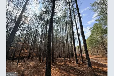 12 Cedar Creek Extension, Elberton, GA 30635 - Photo 4