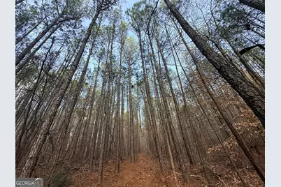 12 Cedar Creek Extension, Elberton, GA 30635 - Photo 62