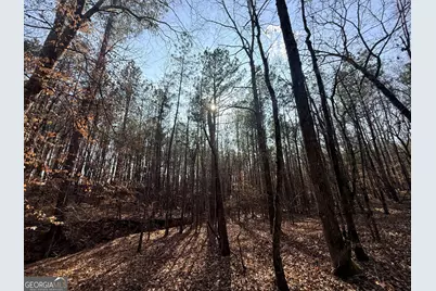 12 Cedar Creek Extension, Elberton, GA 30635 - Photo 54