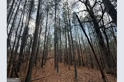 12 Cedar Creek Extension, Elberton, GA 30635 - Photo 34