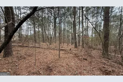 9127 E Carroll Road, Winston, GA 30187 - Photo 4