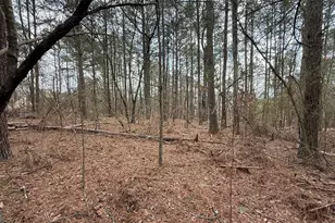 9127 E Carroll Rd, Winston, GA 30187 - Photo 4