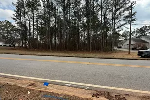 9127 E Carroll Rd, Winston, GA 30187 - Photo 2