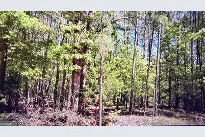 0 Goshen Road, Thomaston, GA 30286 - Photo 6