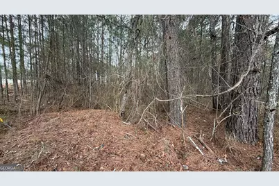 9136 Grampian Court, Winston, GA 30187 - Photo 4