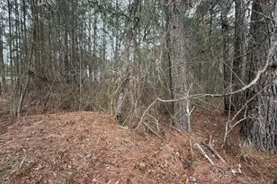 9136 Grampian Ct, Winston, GA 30187 - Photo 4