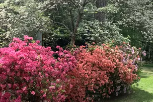 511 Fallside Ct, Peachtree City, GA 30269 - Photo 52