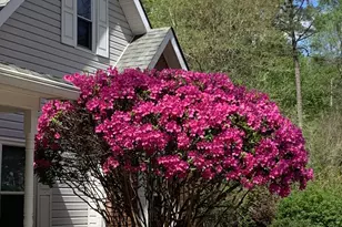 511 Fallside Ct, Peachtree City, GA 30269 - Photo 48