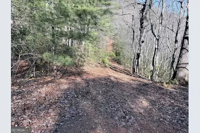 0 Rabun Bluffs Drive, Lakemont, GA 30552 - Photo 4