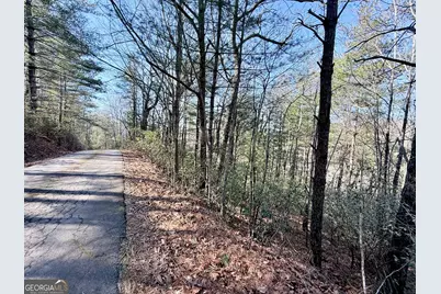 0 Rabun Bluffs Drive, Lakemont, GA 30552 - Photo 6