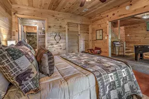 155 Shayla Drive, Blue Ridge, GA 30513 - Photo 28