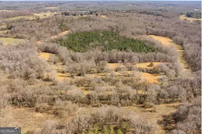 0 Highway 334, Nicholson, GA 30565 - Photo 6