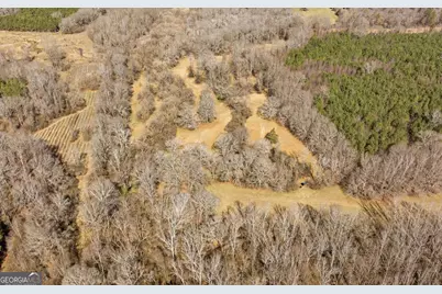 0 Highway 334, Nicholson, GA 30565 - Photo 22