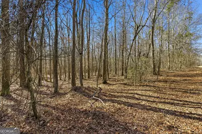 0 Highway 334, Nicholson, GA 30565 - Photo 20