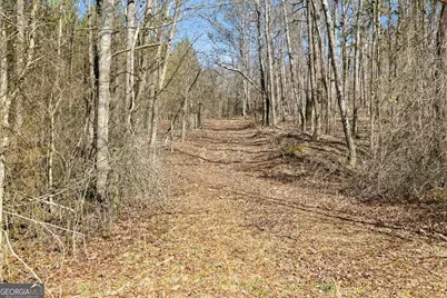 0 Highway 334, Nicholson, GA 30565 - Photo 16