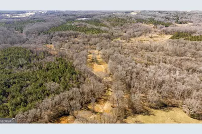 0 Highway 334, Nicholson, GA 30565 - Photo 24