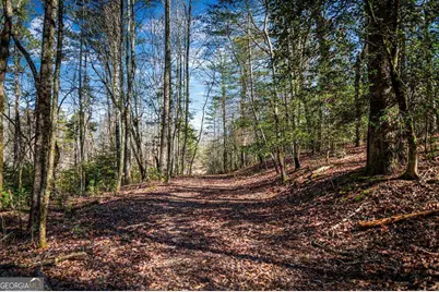 Tract B Captains Cove, Blairsville, GA 30512 - Photo 10