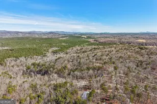 590 Ridge Rd, Dawsonville, GA 30534 - Photo 70