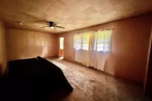 1165 Jaybird Springs Rd, Chauncey, GA 31011 - Photo 14