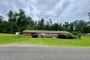 1165 Jaybird Springs Rd, Chauncey, GA 31011 - Photo 2