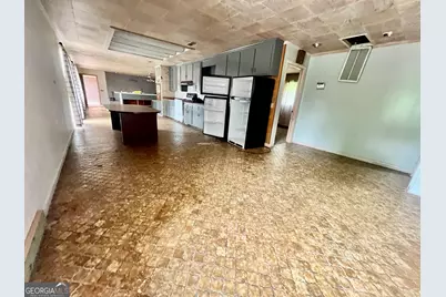 1165 Jay Bird Springs Road, Chauncey, GA 31011 - Photo 10