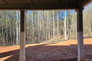 3286 Happy Valley, Newnan, GA 30263 - Photo 10