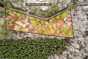 3807 Smithonia Rd, Comer, GA 30629 - Photo 42