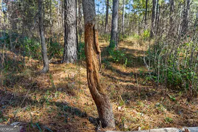 1390 Walker Road, Madison, GA 30650 - Photo 38