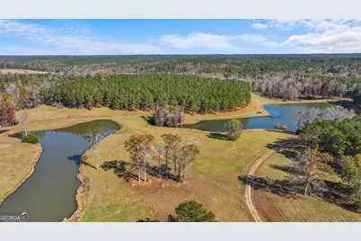 1390 Walker Road, Madison, GA 30650 - Photo 6