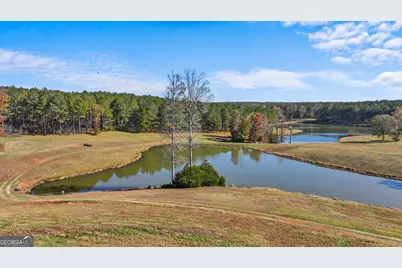 1390 Walker Road, Madison, GA 30650 - Photo 20