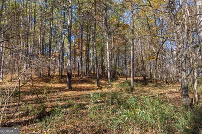 1390 Walker Road, Madison, GA 30650 - Photo 36