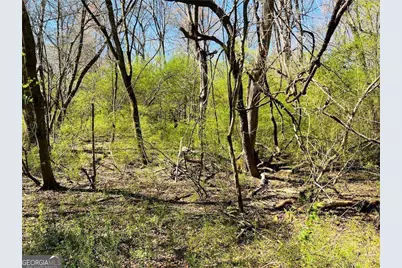 0 Crescent, Newnan, GA 30265 - Photo 4