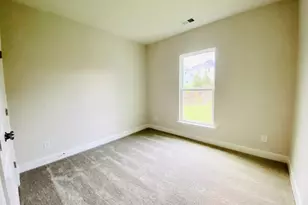 438 Southbridge Pass, Peachtree City, GA 30269 - Photo 38