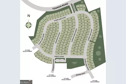 406 Teamon Pointe Drive, Griffin, GA 30223 - Photo 24