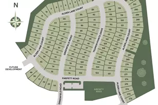 406 Teamon Pointe Dr, Griffin, GA 30223 - Photo 24