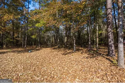 428 Fairview Church Road, Forsyth, GA 31029 - Photo 32