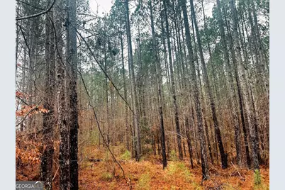 277 Pettigrew Road, Milledgeville, GA 31061 - Photo 14