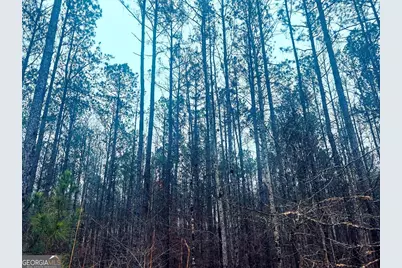 277 Pettigrew Road, Milledgeville, GA 31061 - Photo 10